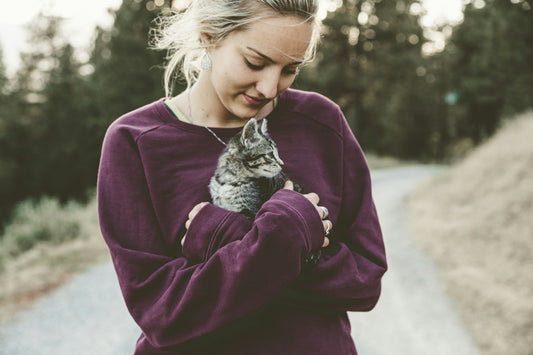 Cómo ayudar a su gato a superar la ansiedad por separación: Consejos para una transición suave