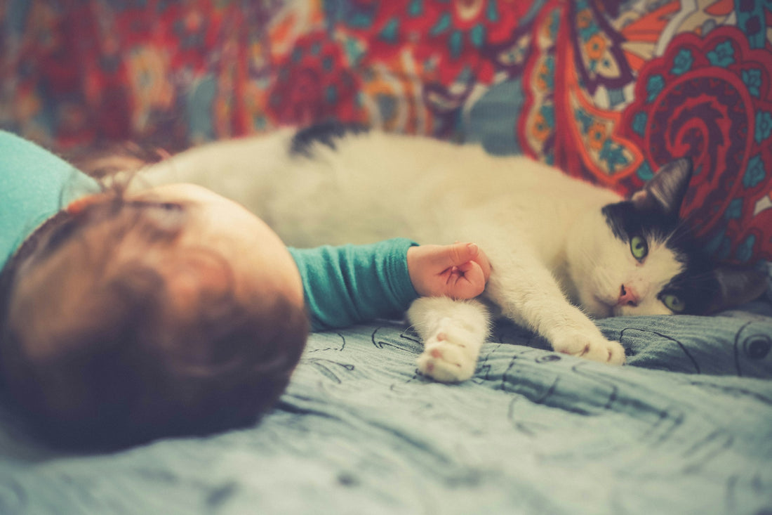 Ventajas de que un gato acompañe el crecimiento de tu bebé