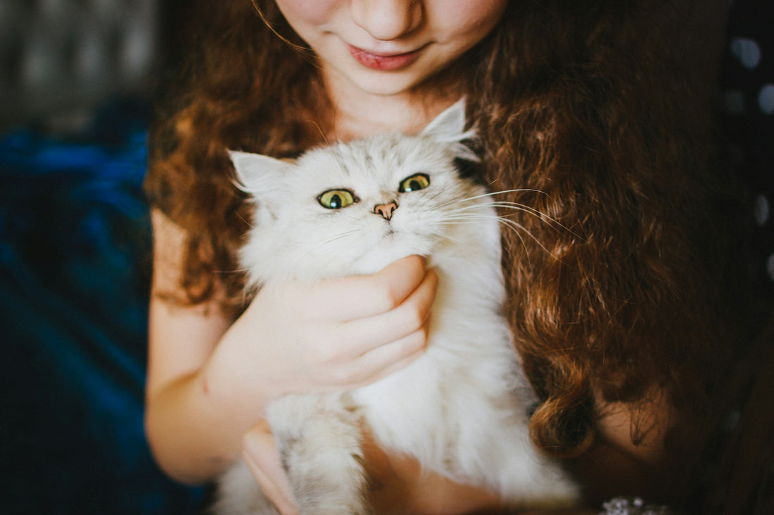 Breve historia de la relación gatos y humanos: ¿Cuándo comenzó este amor?